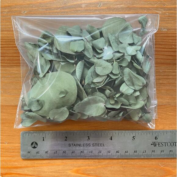 Dry Eucalyptus Leaves - Picture 6 of 8